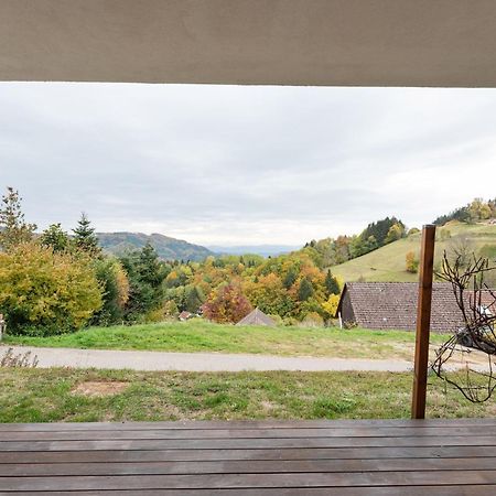 Apartment On The Edge Of The Forest Kleines Wiesental Εξωτερικό φωτογραφία