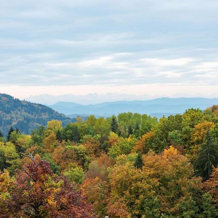 Apartment On The Edge Of The Forest Kleines Wiesental Εξωτερικό φωτογραφία