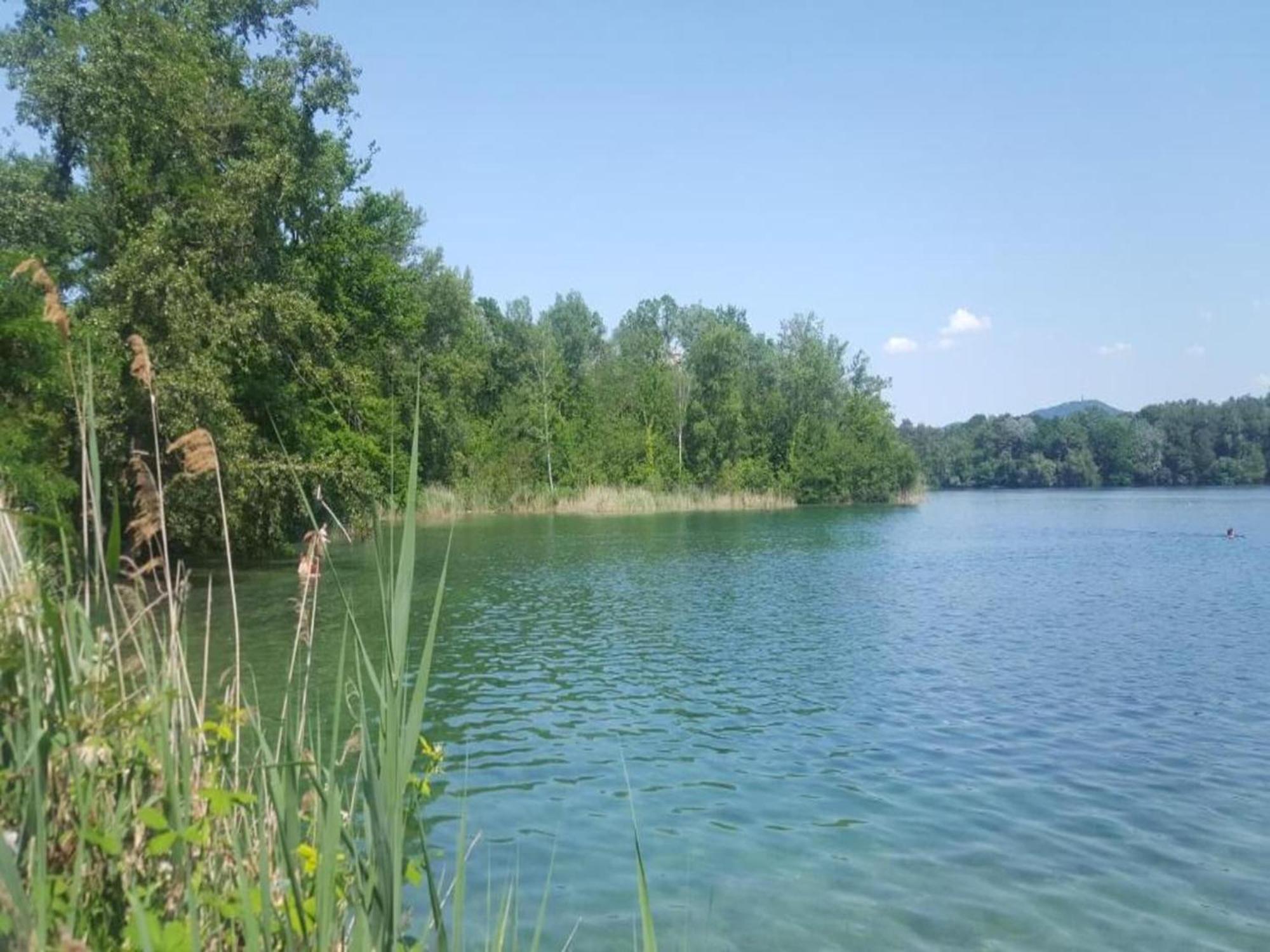 Apartment On The Edge Of The Forest Kleines Wiesental Εξωτερικό φωτογραφία
