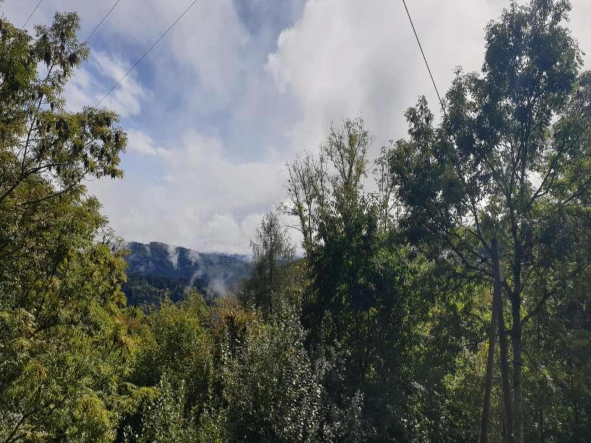 Apartment On The Edge Of The Forest Kleines Wiesental Εξωτερικό φωτογραφία